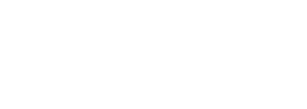 dec logo blanco año3